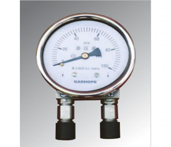 Differential Pressure gauge Standard Model