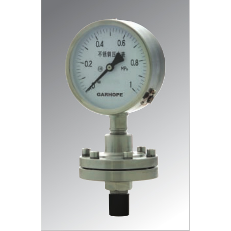 浙江Diaphragm Pressure Gauge  Standard Model